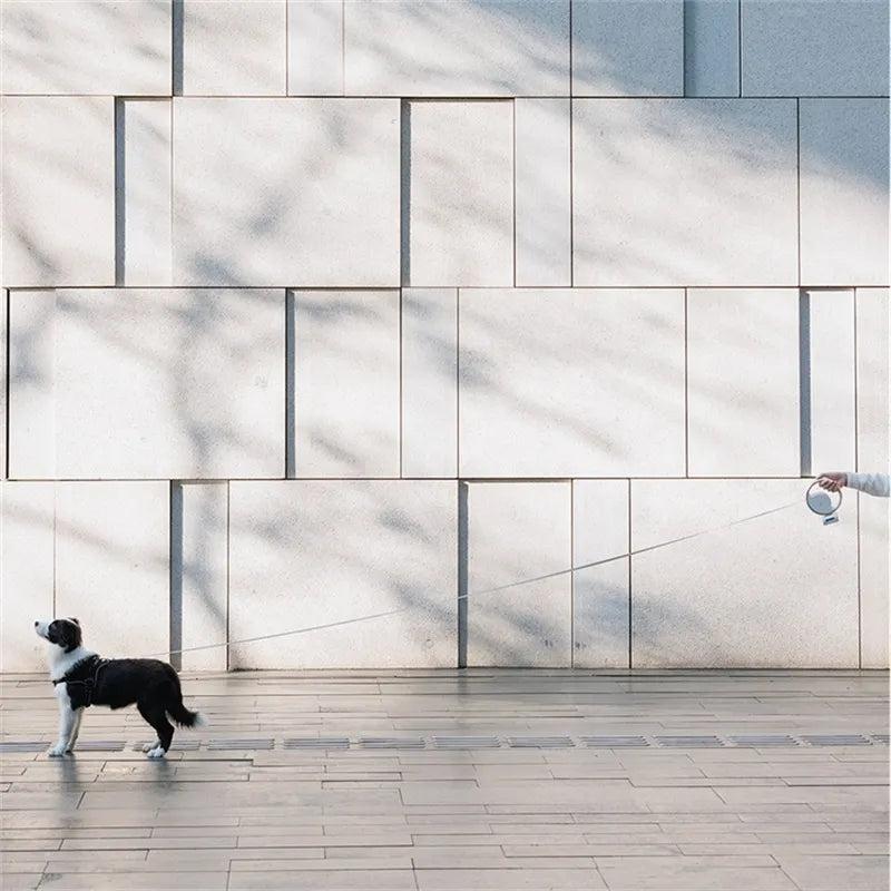 Rozciągliwa smycz dla psa dla maksymalnej kontroli i wygody