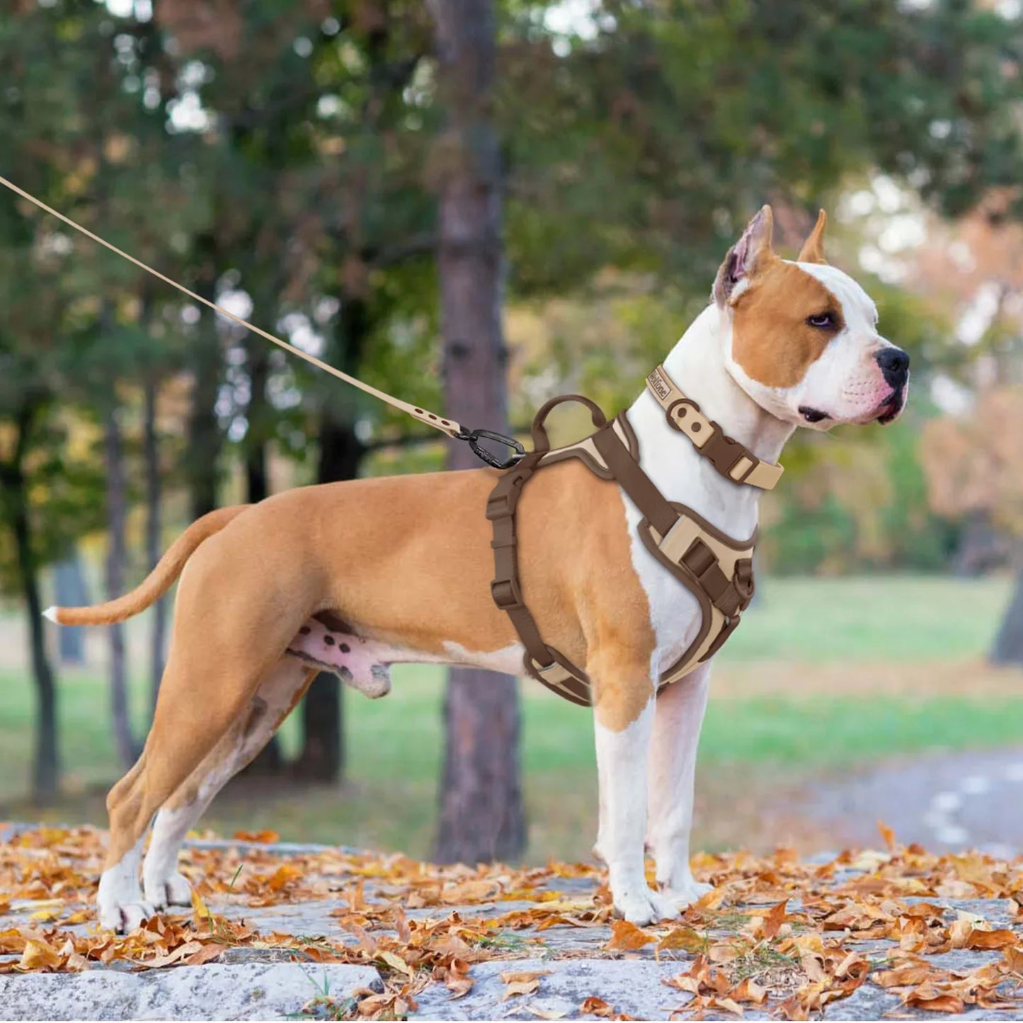 Regulowana luksusowa uprząż dla psów małych i dużych ras