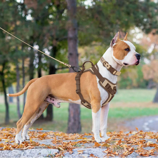 Regulowana luksusowa uprząż dla psów małych i dużych ras
