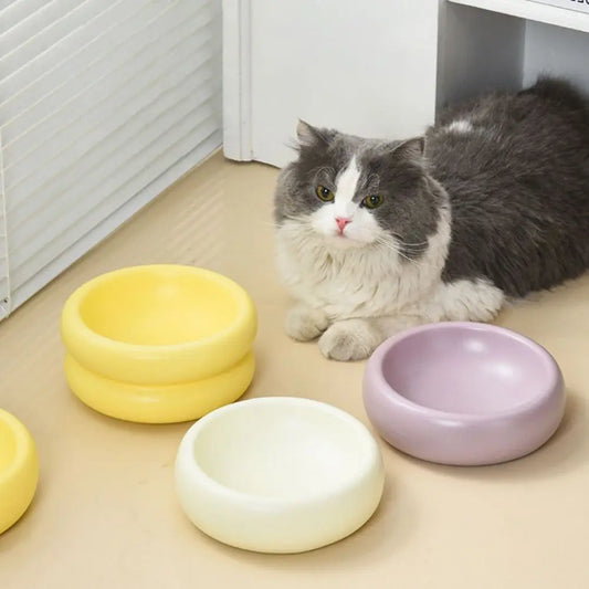Luksusowa ceramiczna miska dla zwierząt na stylowe karmienie