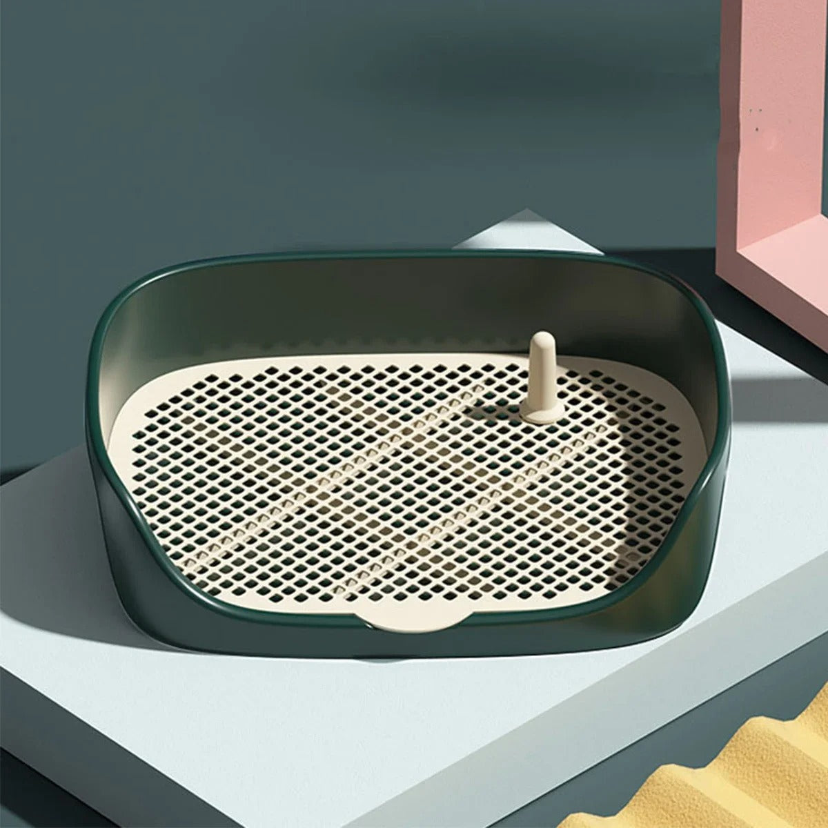 Naucz psa korzystania z nocnika