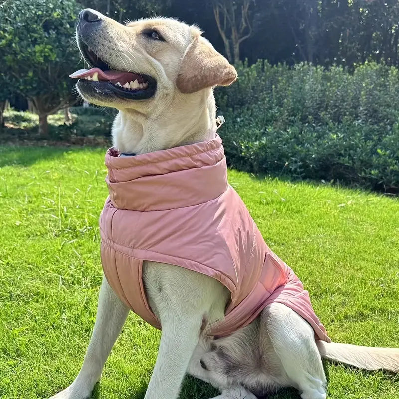 Optymalna ochrona stóp dla zwierząt dla maksymalnego komfortu i bezpieczeństwa