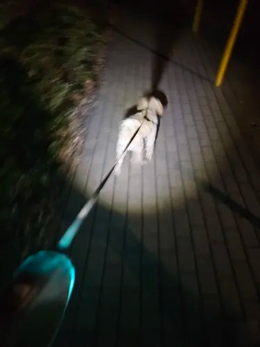Najwyższe bezpieczeństwo psa: oświetlenie LED i zasięg 5 m na nocne spacery