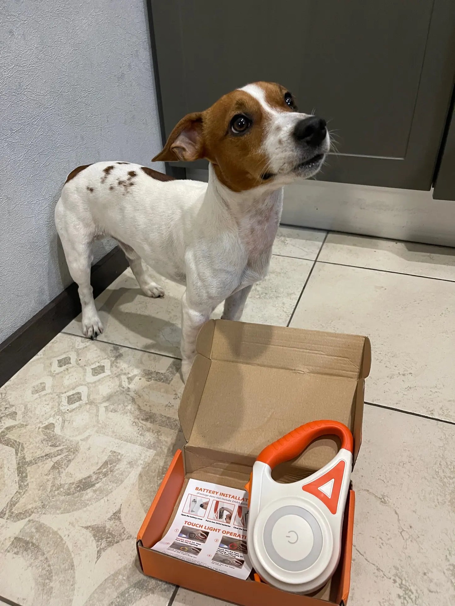 Najwyższe bezpieczeństwo psa: oświetlenie LED i zasięg 5 m na nocne spacery