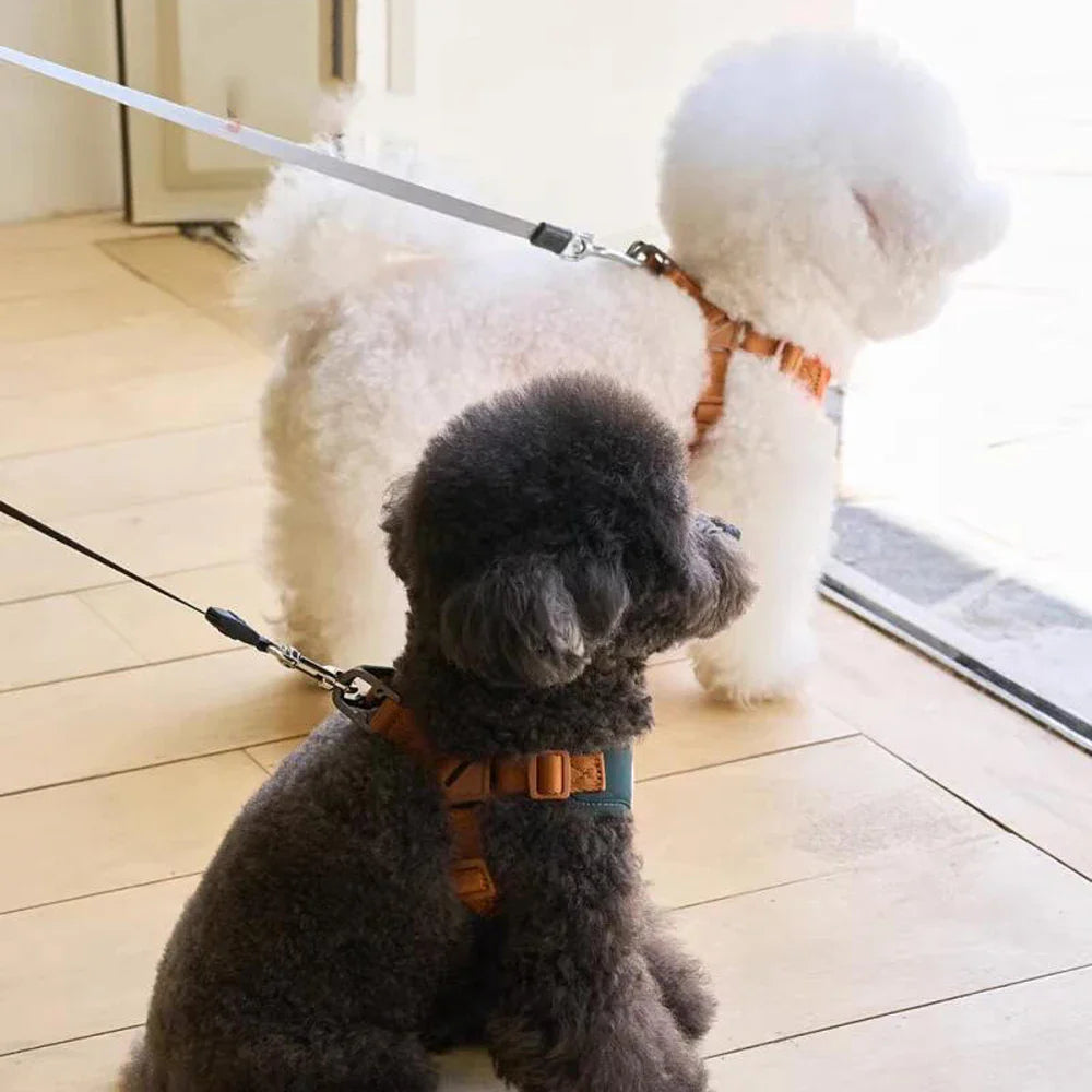 Urocza i regulowana uprząż i pasek dla komfortu i bezpieczeństwa