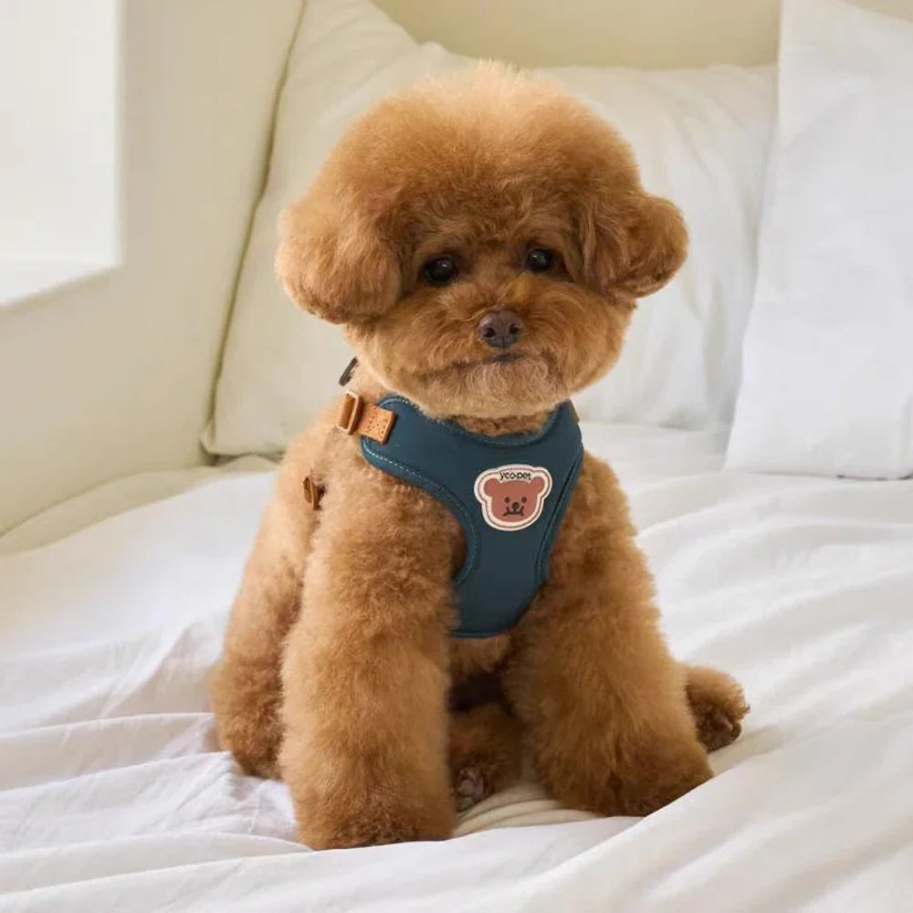 Urocza i regulowana uprząż i pasek dla komfortu i bezpieczeństwa