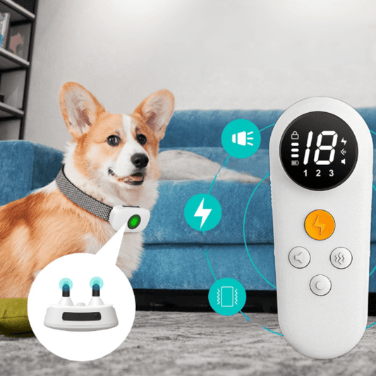 Najlepsze urządzenie przeciw szczekaniu dla spokoju w domu