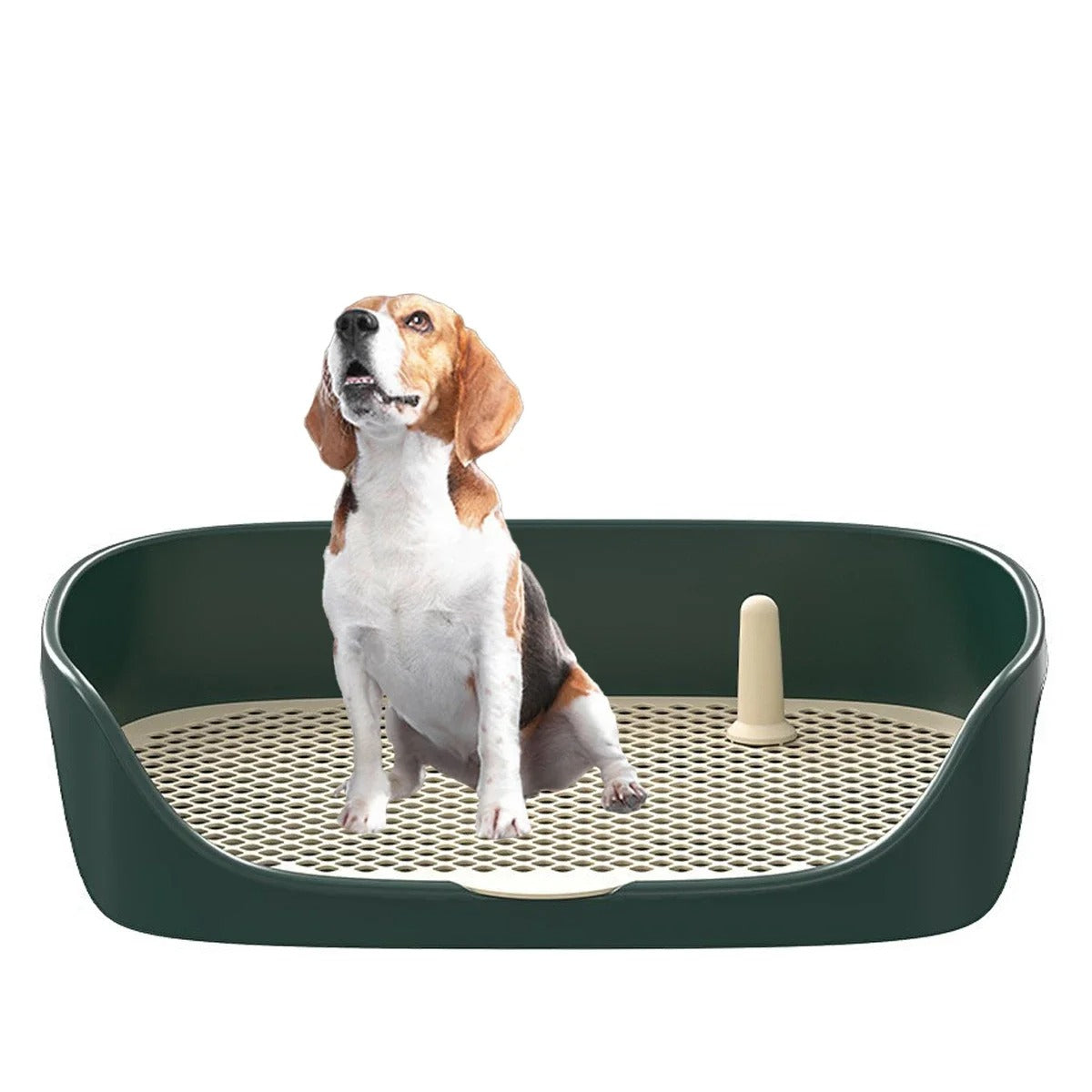 Naucz psa korzystania z nocnika