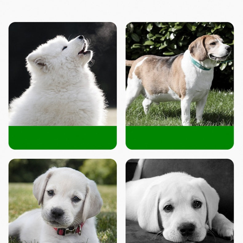 Wygodna i elastyczna silikonowa mata do karmienia ułatwiająca zarządzanie posiłkami